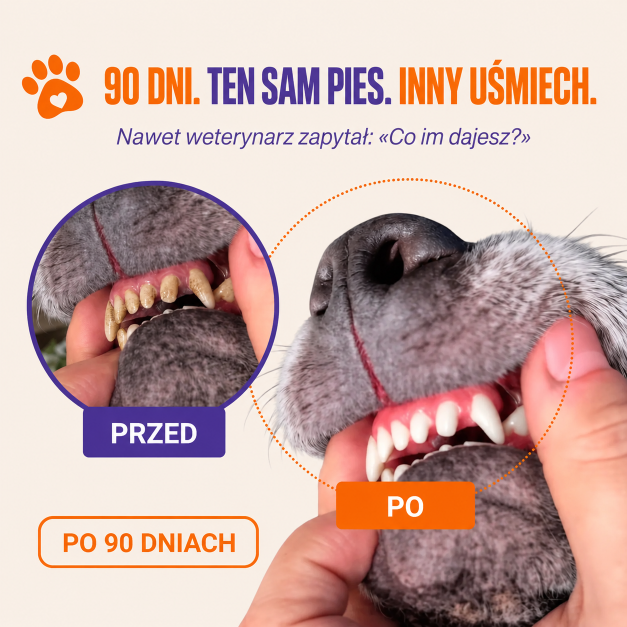 DENTACLEAN® - Psy/Koty