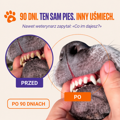 DENTACLEAN® - Psy/Koty